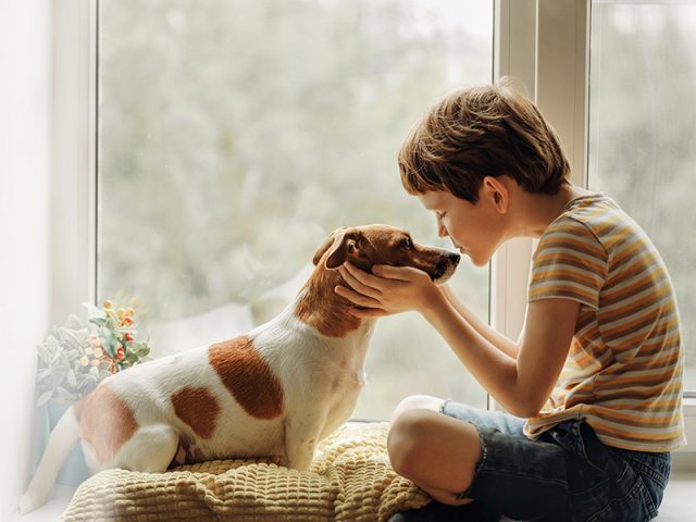 Mascota en casa