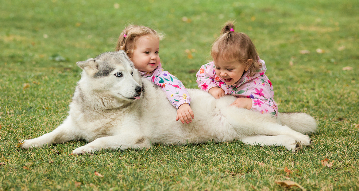 ¿Es recomendable que los niños crezcan con una mascota en casa?