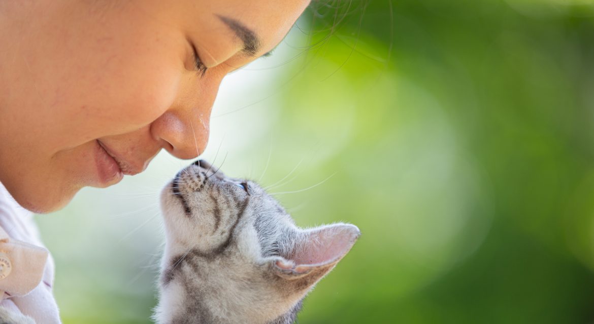 9 formas de saber que tu gato te quiere